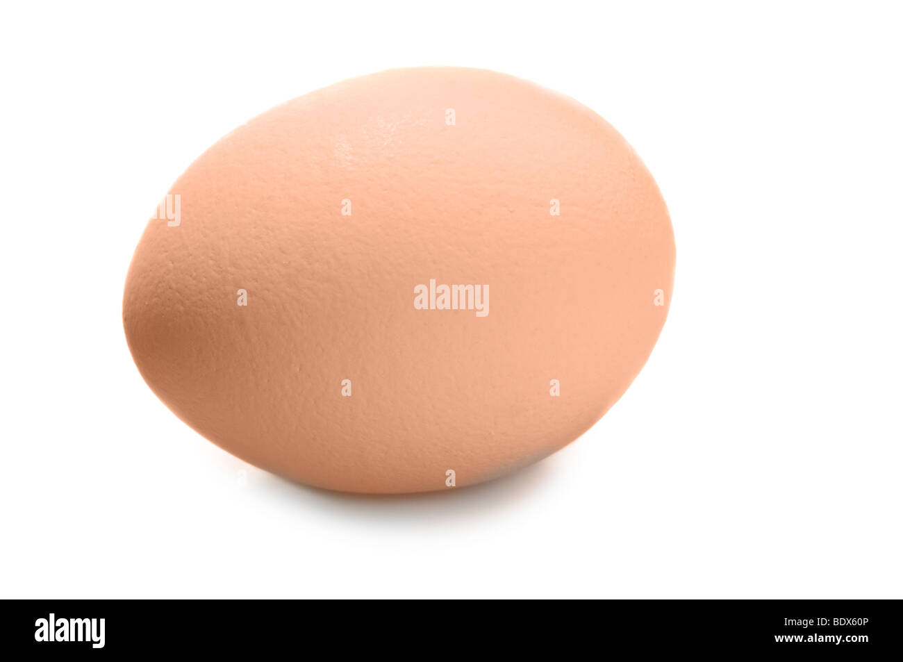 Brown egg isolated on white Stock Photo