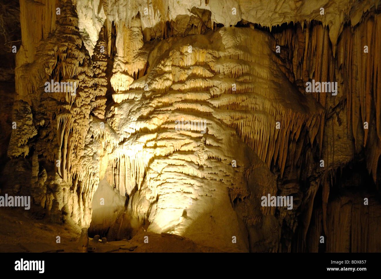 Stalagmites inside the karst cave, Postojna, Slovenia, Europe Stock Photo