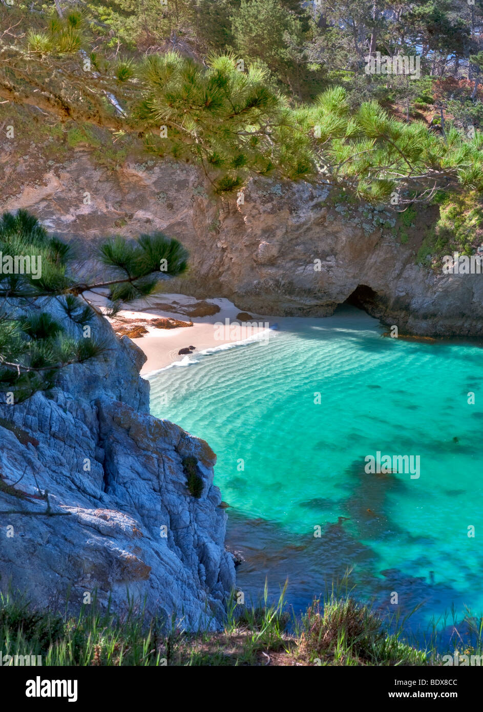 China beach with California Harbor Seals on beach. Point Lobos State Reserve, California Stock Photo