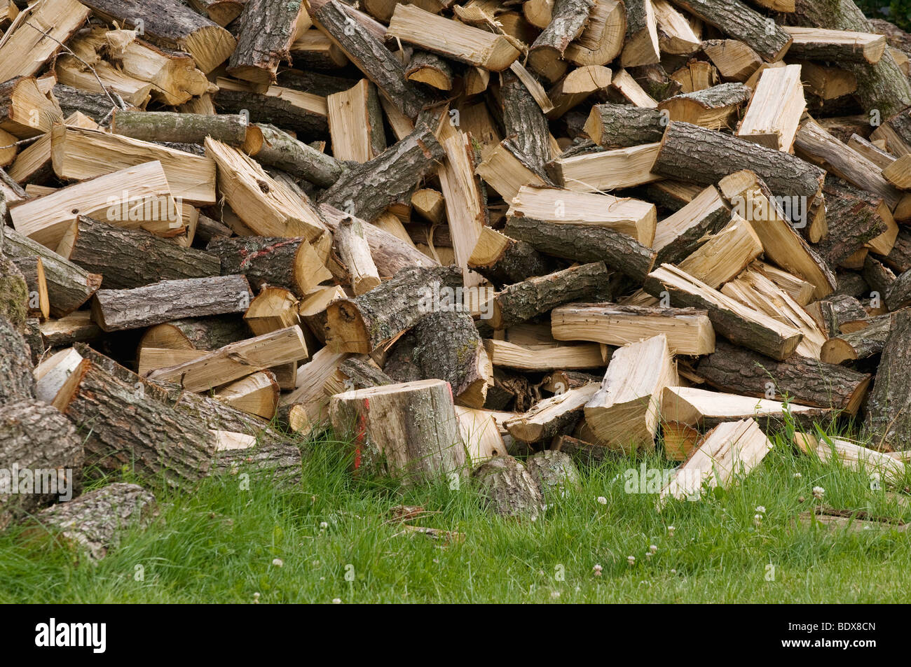Chopped firewood, piled up logs on a lawn Stock Photo