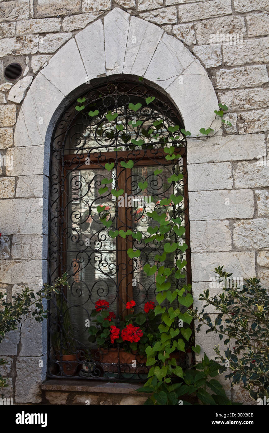 Medieval front house with red flowers and Heart shape leafs in Assisi ...