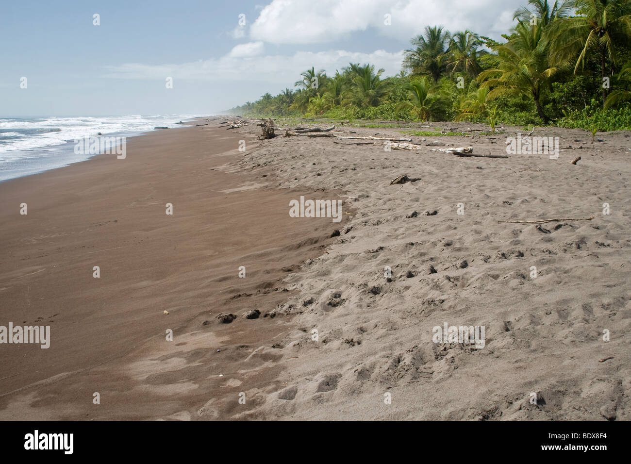 sea-turtle-tracks-in-sand-hi-res-stock-photography-and-images-alamy
