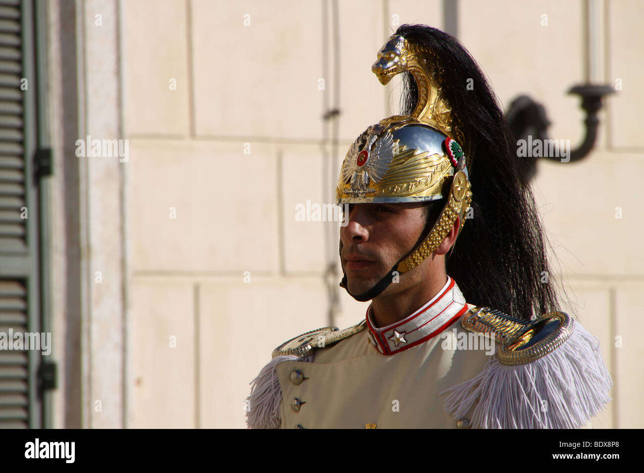 Presidential Guard Helmet