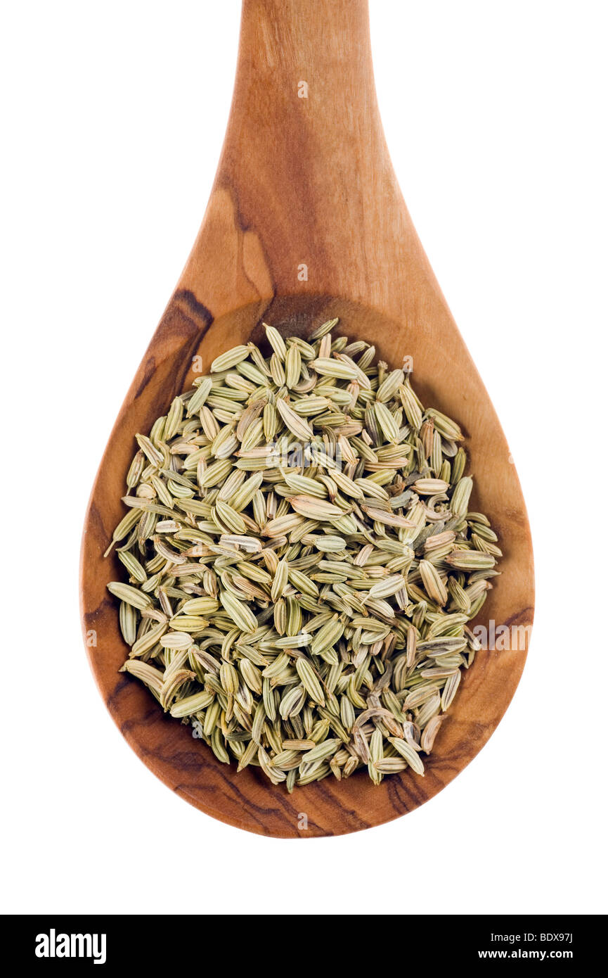 Fennel seeds (Foeniculum vulgare) on an olive wood spoon Stock Photo