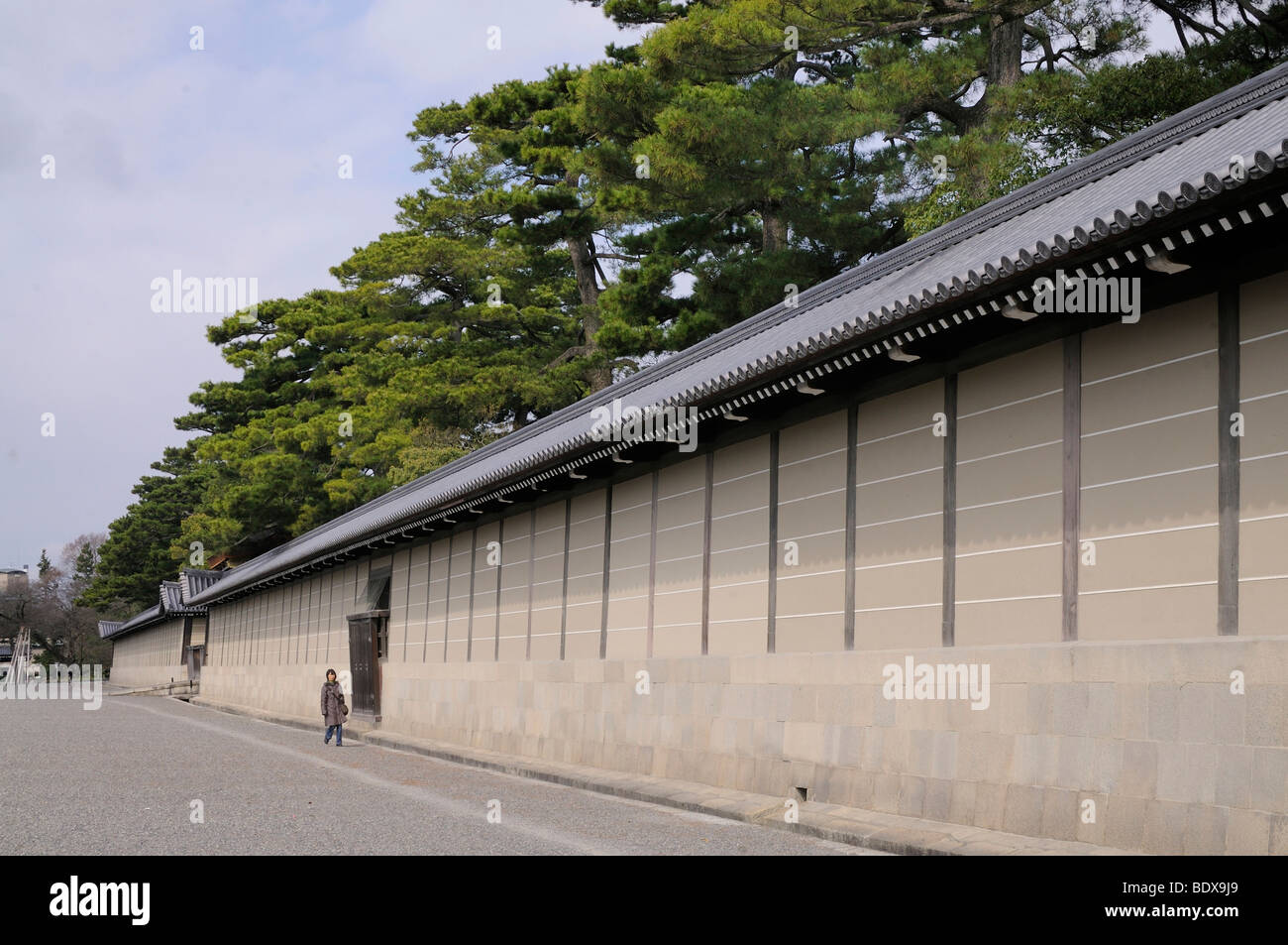 Wall around the palace with pine trees, Imperial Palace, Gosho, in Kyoto, Japan, Asia Stock Photo