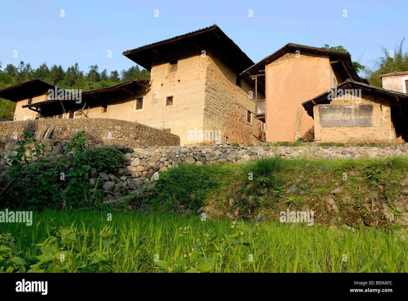 Adobe houses, earth houses, Chinese: Tulou, of the Hakka minority as a farm with a rice field terrace at Hukeng, Chinese minori Stock Photo