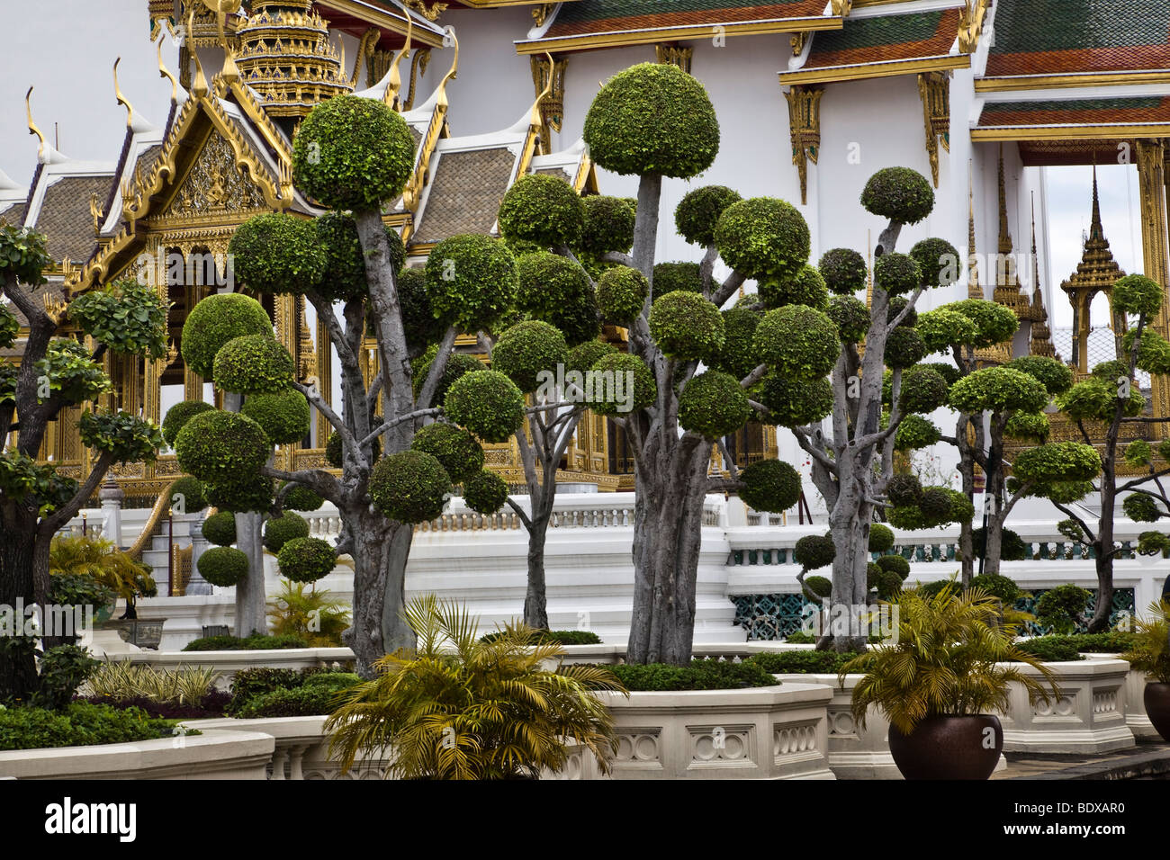 Thailand, Bangkok, Grand Palace, ornamental trees on the palace grounds next to Wat Phra Kaeo Stock Photo