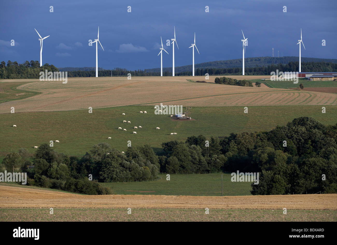 Wind farm near Kisselbach in the Hunsrueck region, Rhineland-Palatinate, Germany, Europe Stock Photo