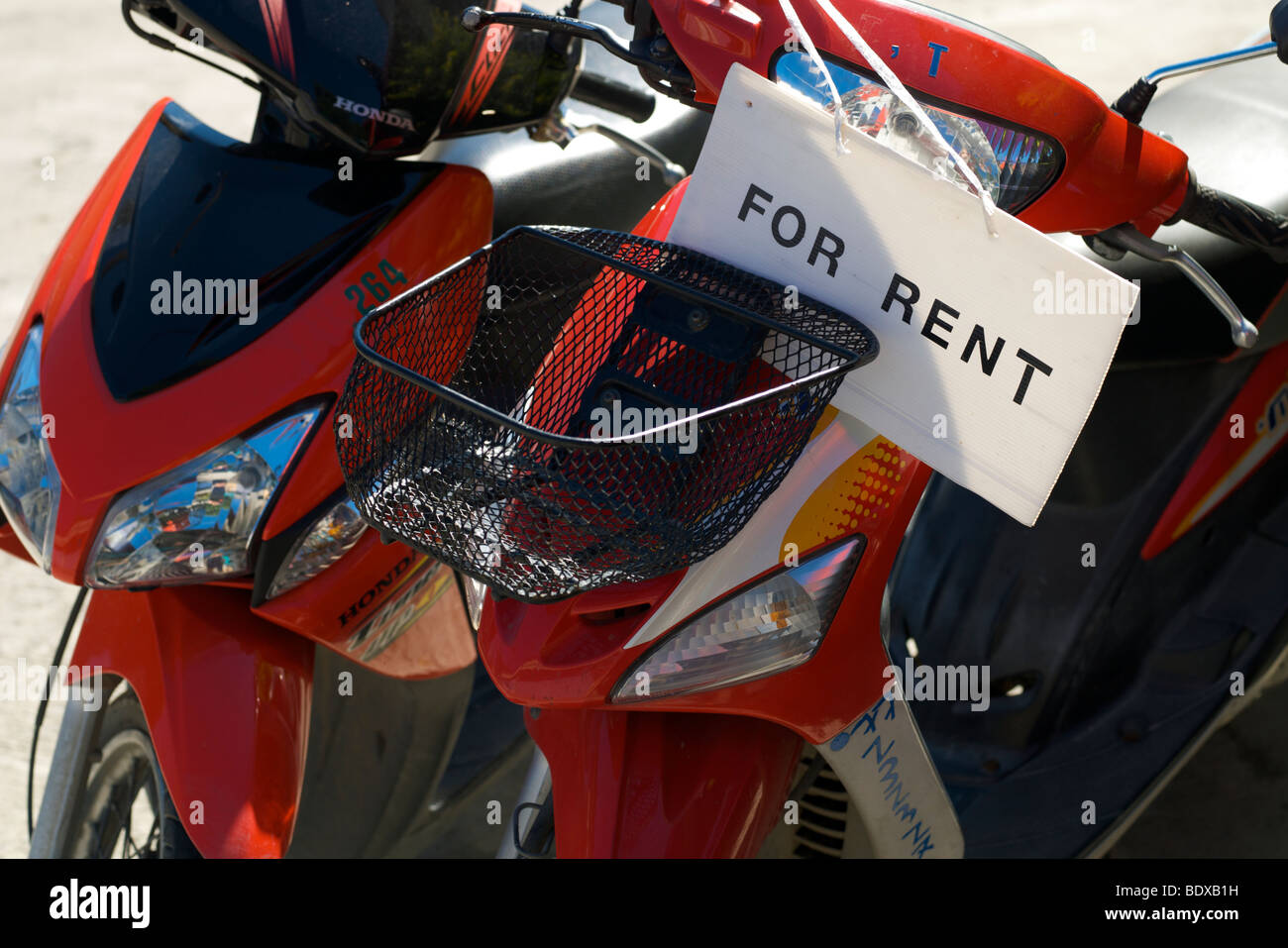 Scooters for rent in Thailand Stock Photo Alamy