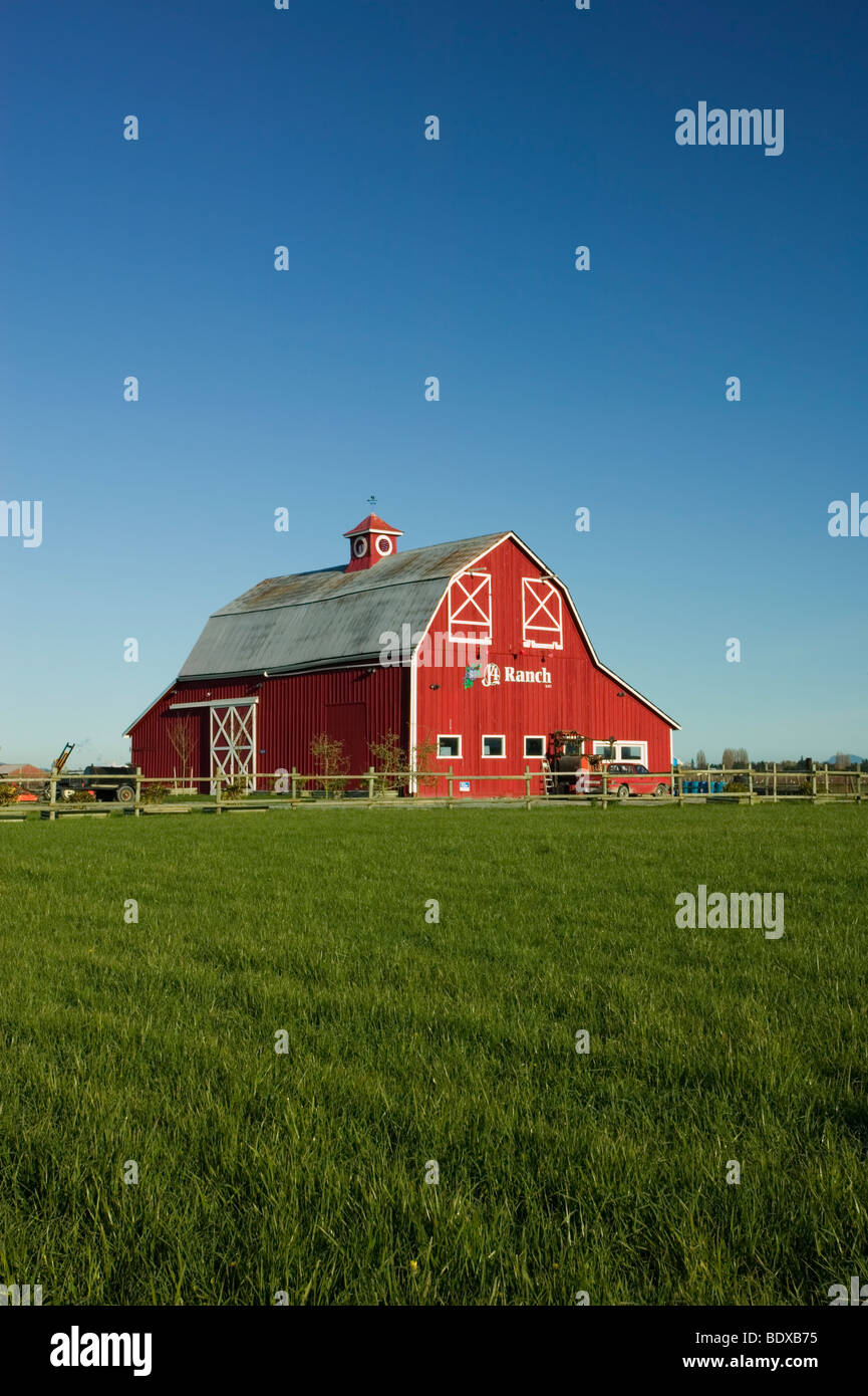 Old red barn in skagit valley Washington State Stock Photo Alamy