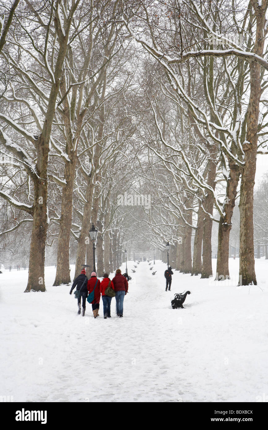 LONDON: TREE LINED AVENUE IN GREEN PARK IN THE SNOW Stock Photo