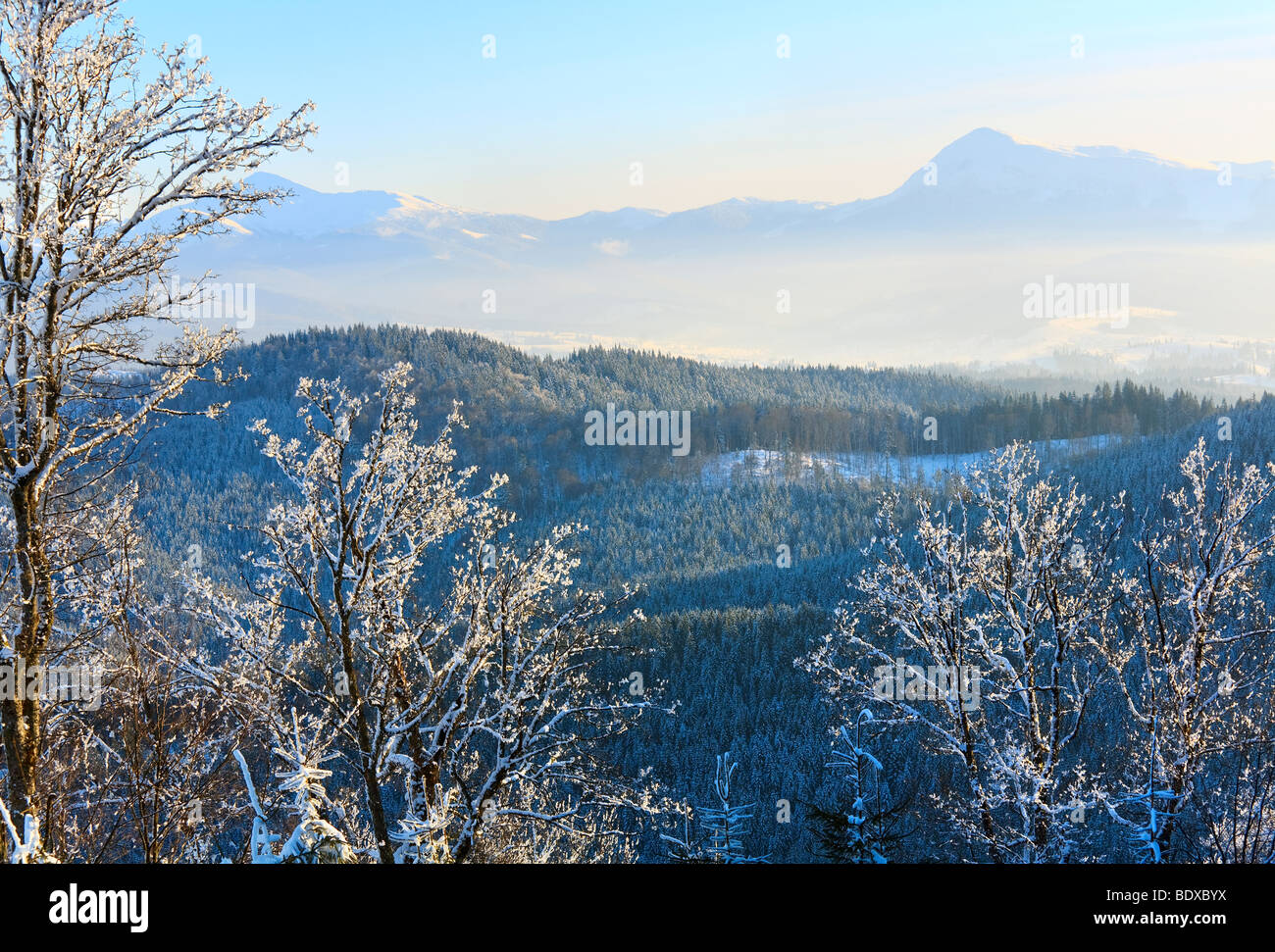 winter calm mountain landscape with rime and snow covered trees in ...