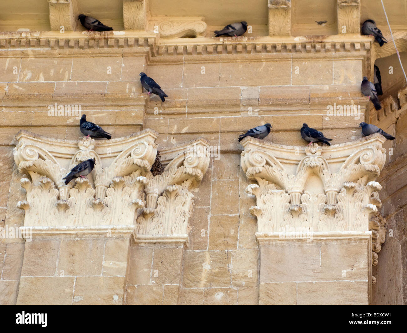 Pigeons on a church Stock Photo
