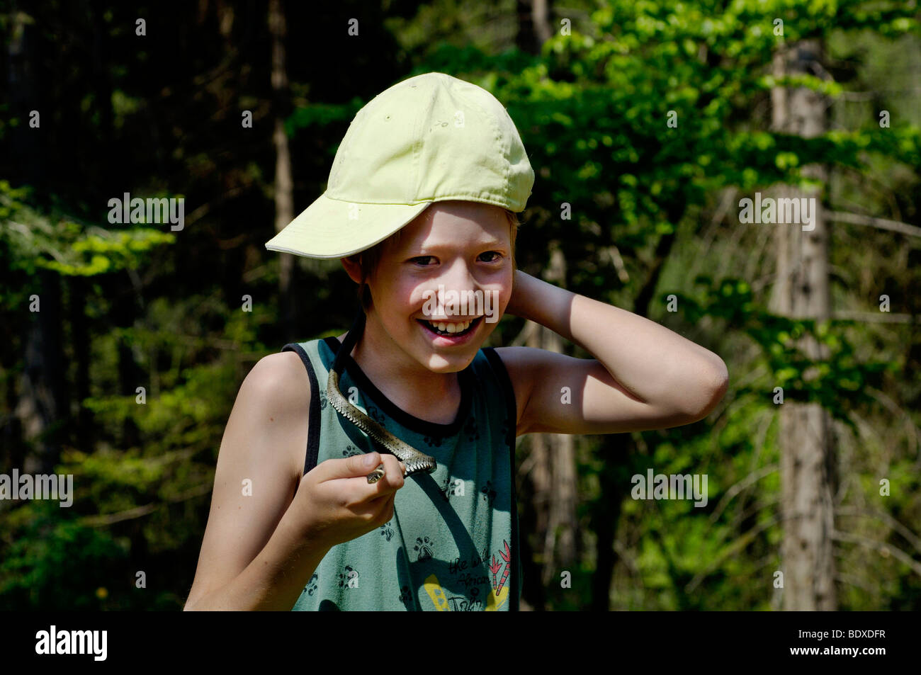 Snake neck hi-res stock photography and images - Alamy