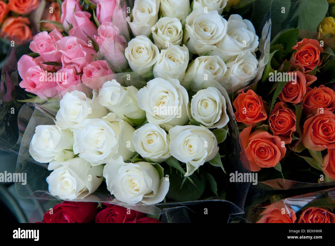 Flowers in florists shop , Canterbury , England Stock Photo