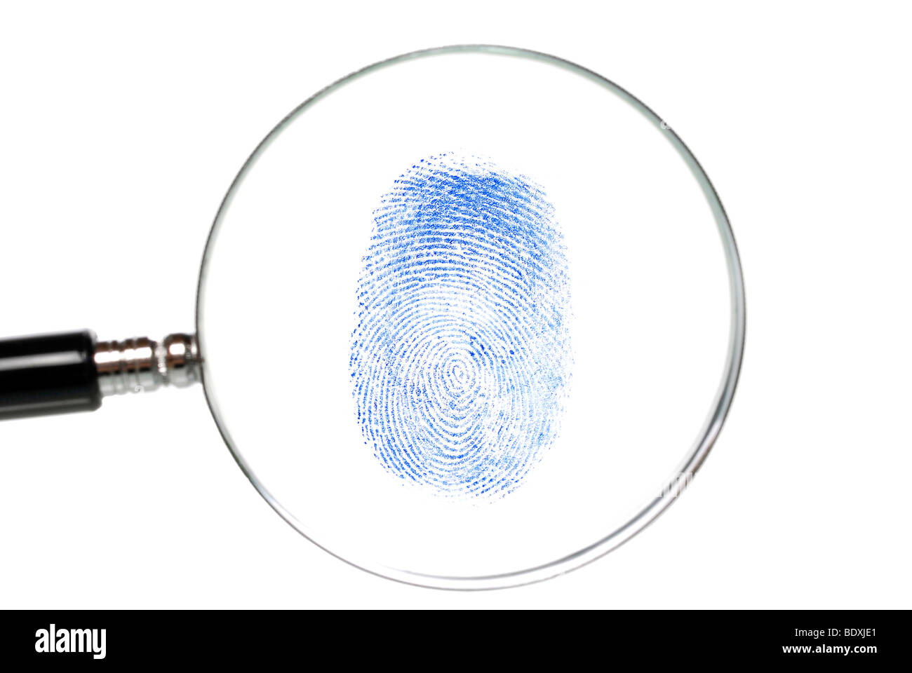 Magnifying glass with fingerprint, symbolic image for data privacy, forensics Stock Photo