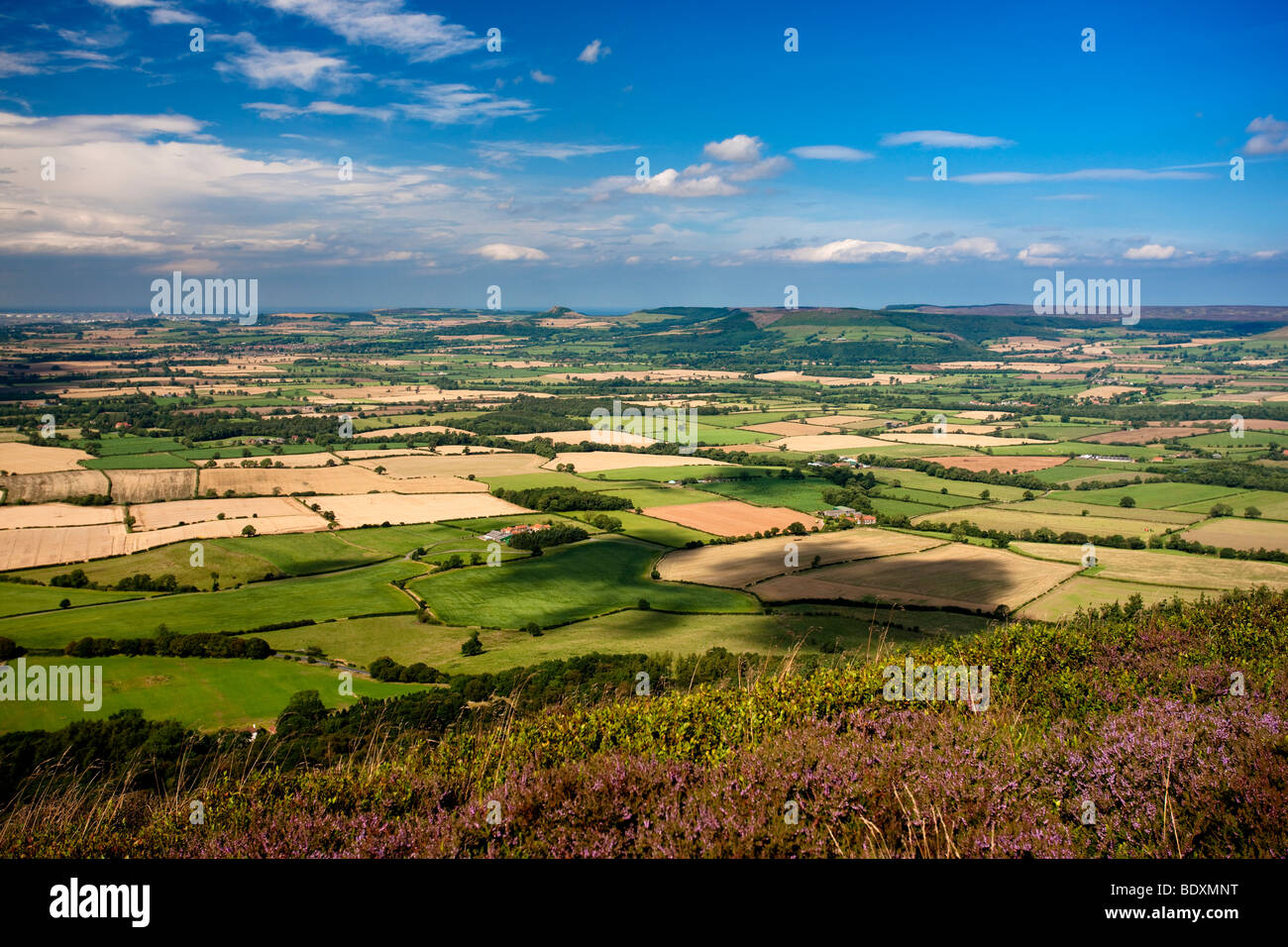 The Stokesley Plain from Hasty Bank on the Cleveland Way, North York Moors National Park Stock Photo