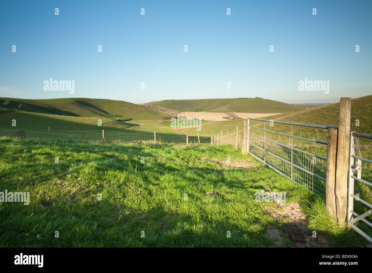 View of Milk Hill from the slopes of Tan Hill, Wiltshire, Uk Stock Photo