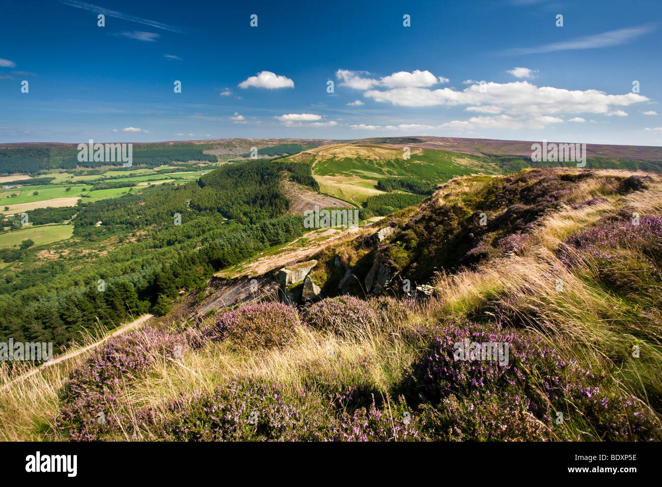 Hasty Bank on the Cleveland Way, North York Moors National Park Stock ...