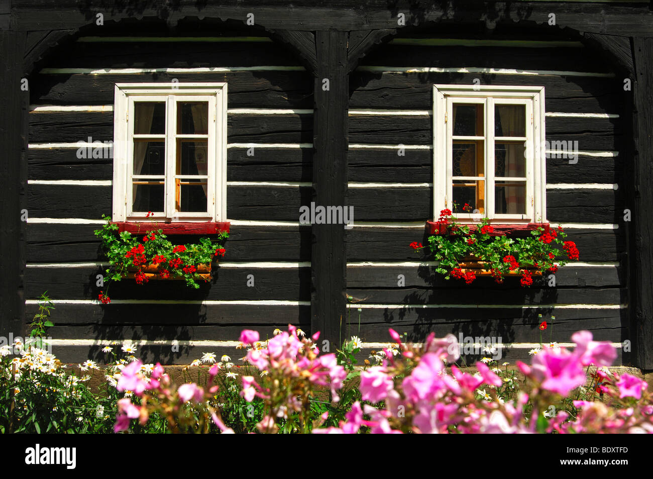 Windows decorated with flowers on a traditional Umgebindehaus, house in traditional building style, Vsemily, Bohemia, Czech Rep Stock Photo