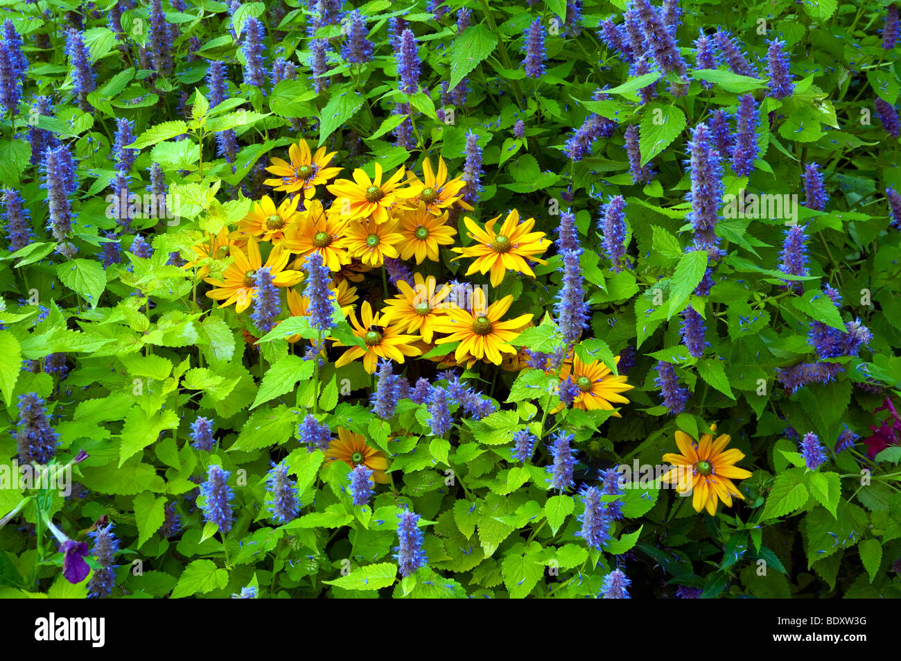 Flower beds, garden paths and flower arrangements at the English Gardens in the Assiniboine Park in Winnipeg, Manitoba, Canada. Stock Photo