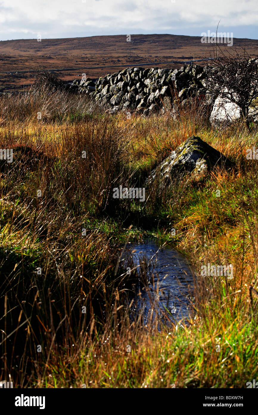 Stone Wall and Water Creek Ireland Stock Photo