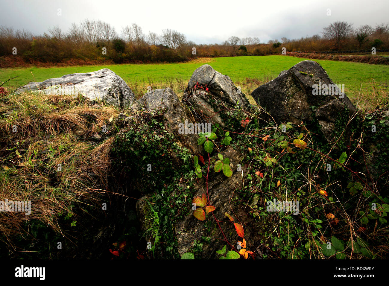 Stone Wall Ireland Stock Photo Alamy