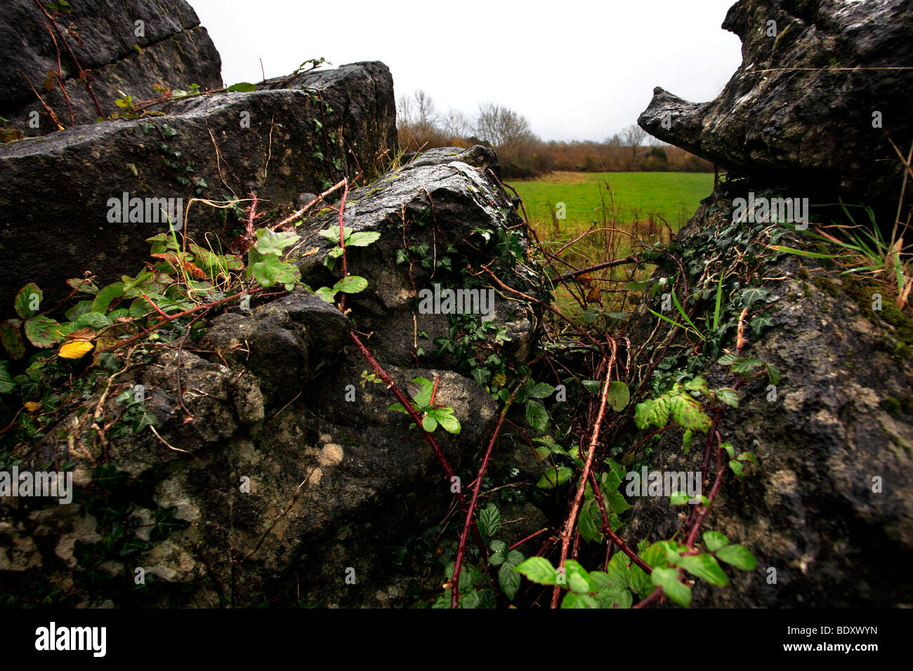 Stone Wall Ireland Stock Photo