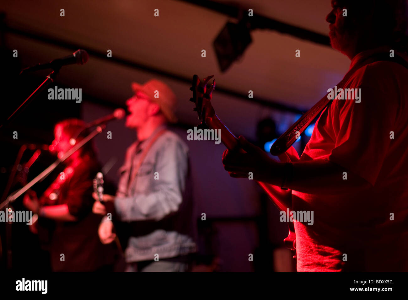 Comedian Adrian Edmondson with his band The Bad Shepherds at the Suffolk music festival Hachfest Stock Photo