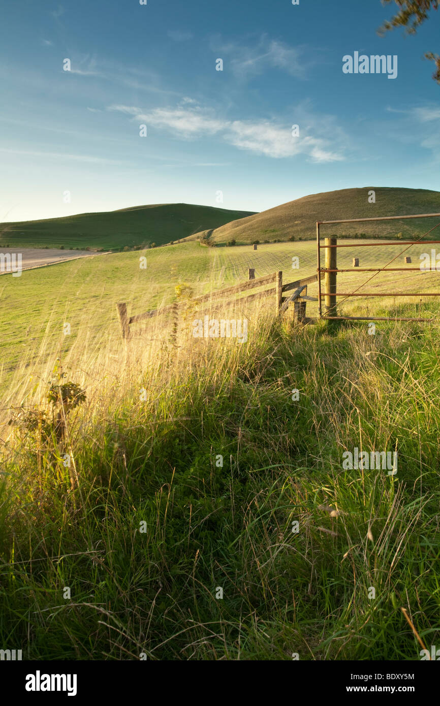 Footpath towards Tan Hill near Alton Barnes, Marlborough, Wiltshire, Uk Stock Photo