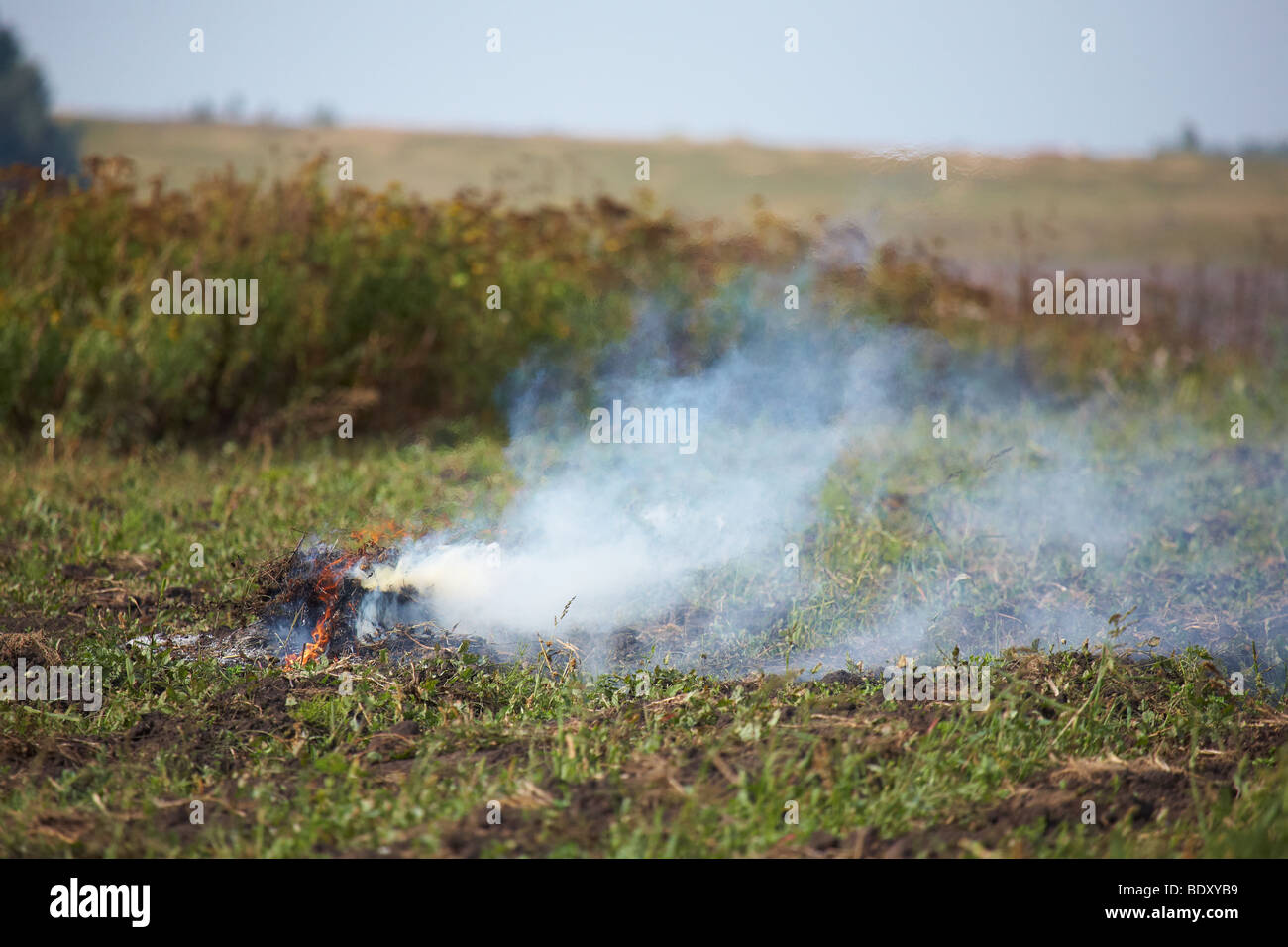 Fire and smoke in agrarian field Stock Photo