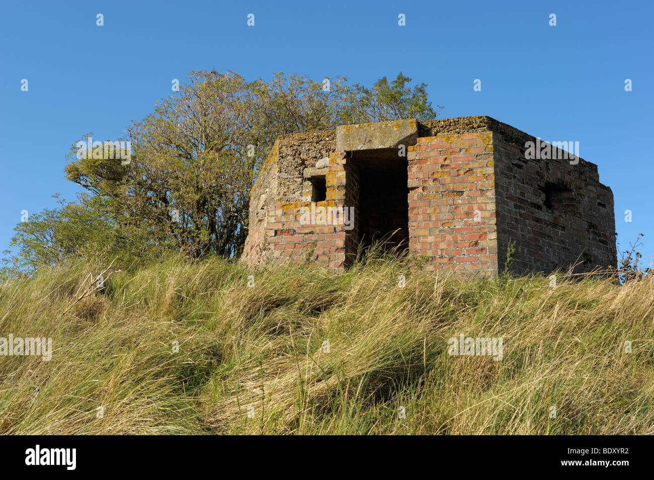 Wartime Pillbox on farmland Stock Photo Alamy