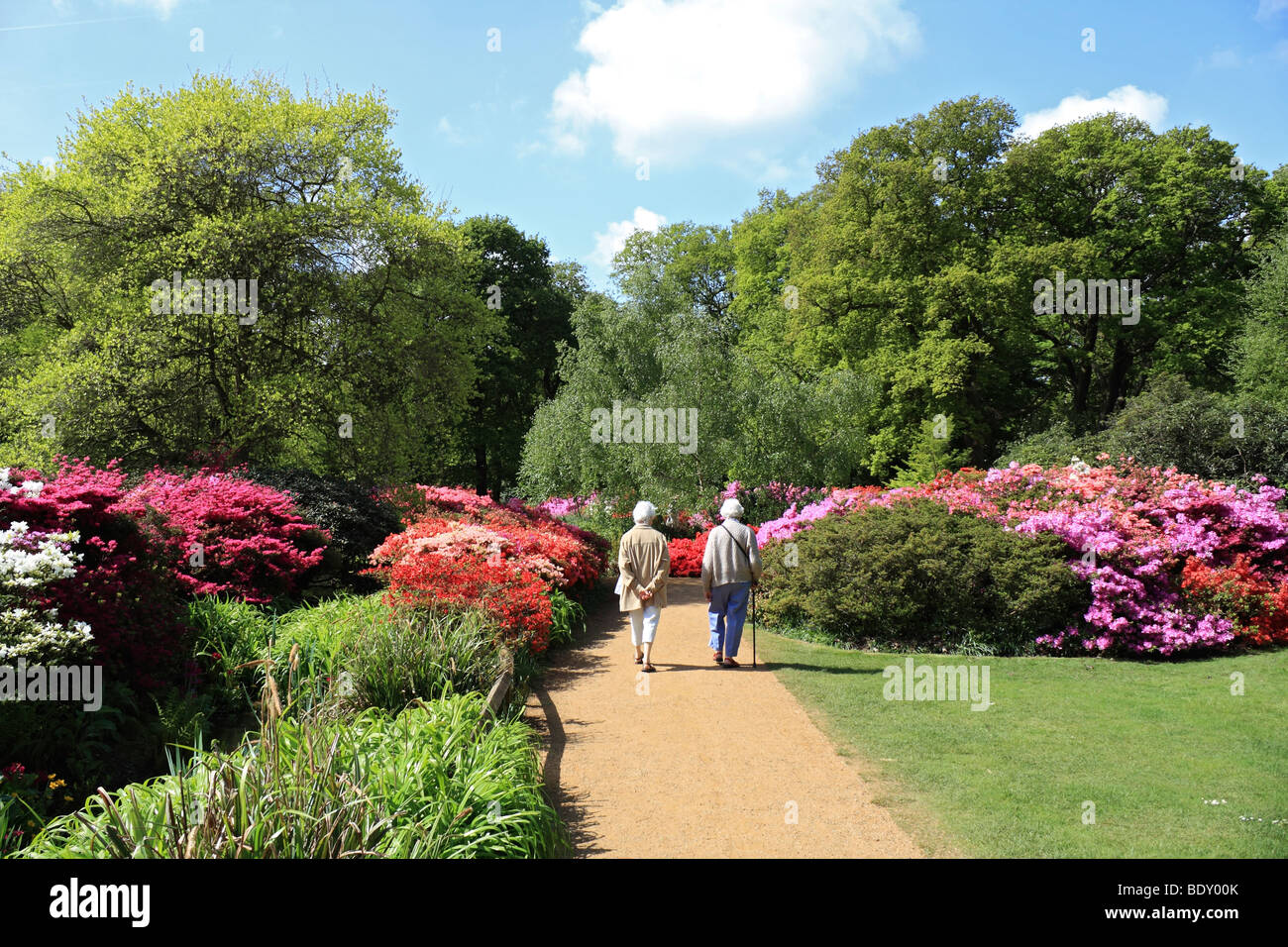 Couple walking in Isabella Plantation, Richmond Park, south west London, England, UK. Stock Photo