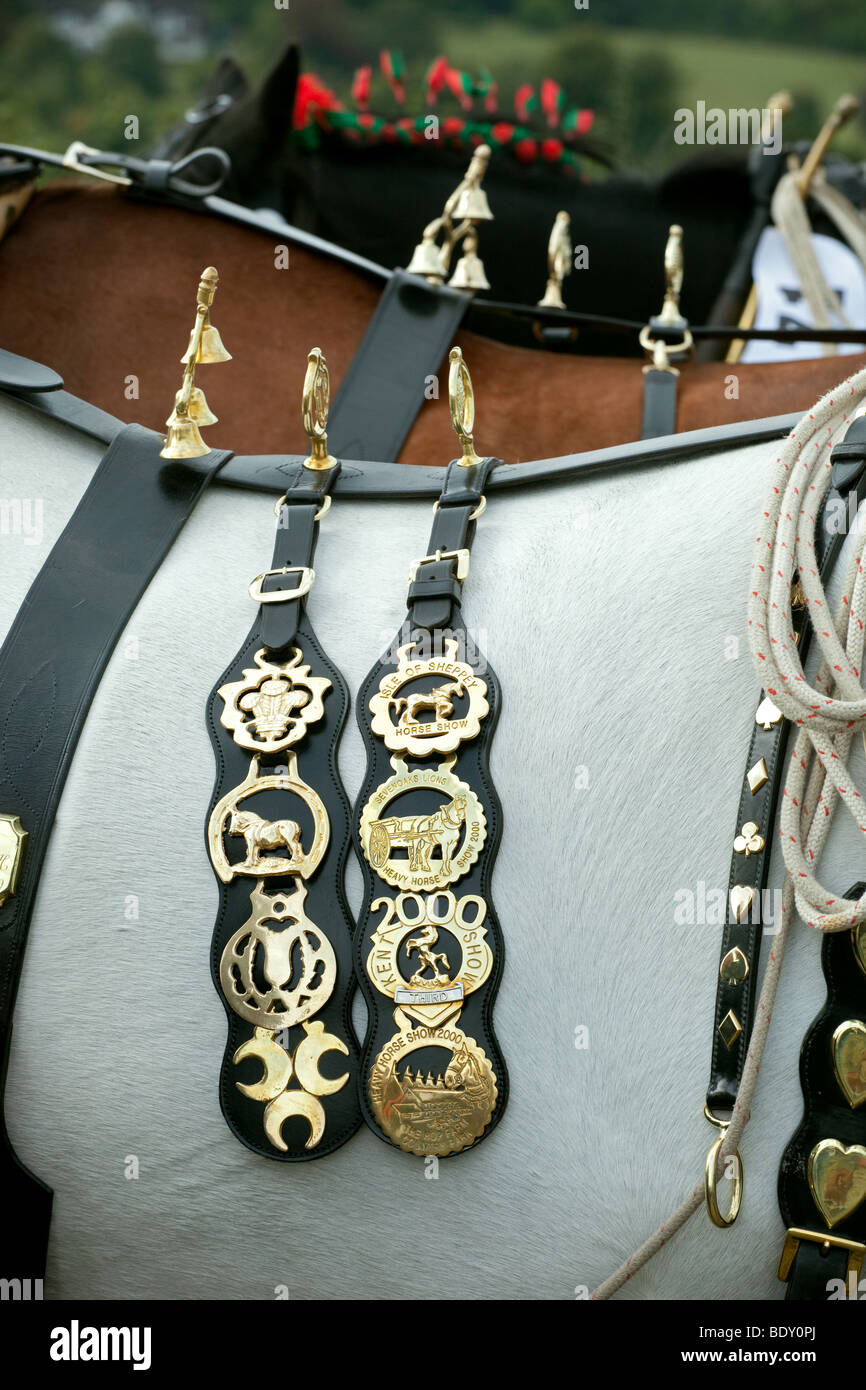Horse brasses hires stock photography and images Alamy