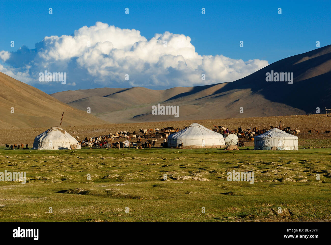 Nomad yurts in the Mongolian steppe, Aimak Bayan Ulgi, Altai Mountains, Mongolia, Asia Stock Photo