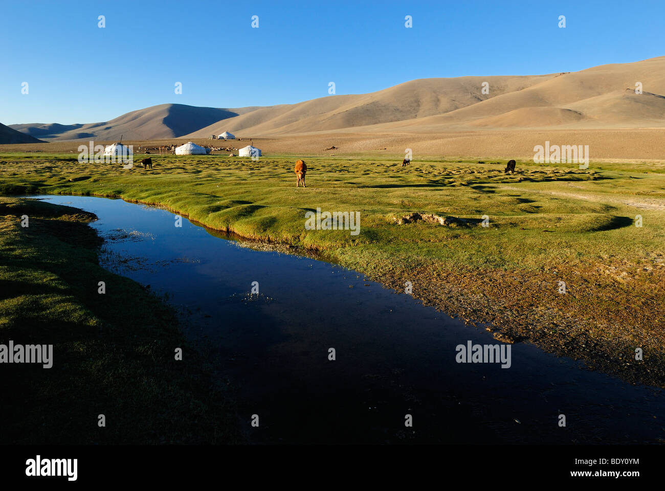 Nomad yurts in the Mongolian steppe, Aimak Bayan Ulgi, Altai Mountains