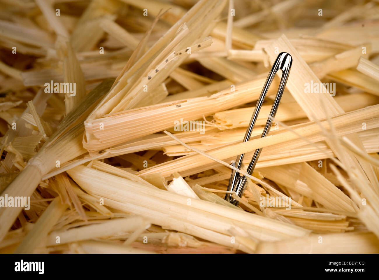 A shiny, metallic needle found in a haystack. Stock Photo