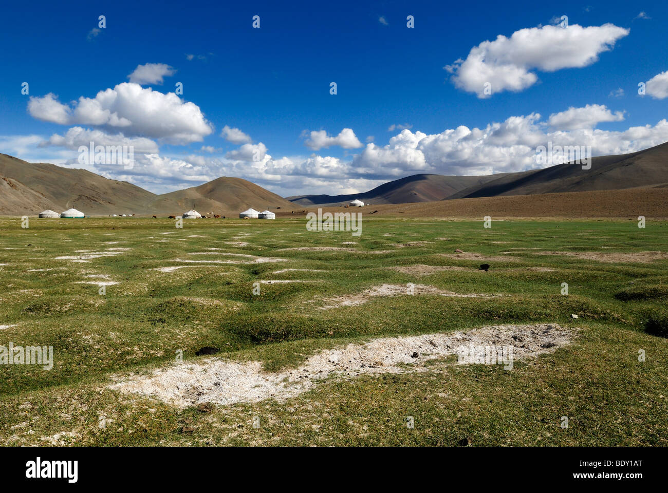 Nomad yurts in the Mongolian steppe, Aimak Bayan Ulgi, Altai Mountains, Mongolia, Asia Stock Photo