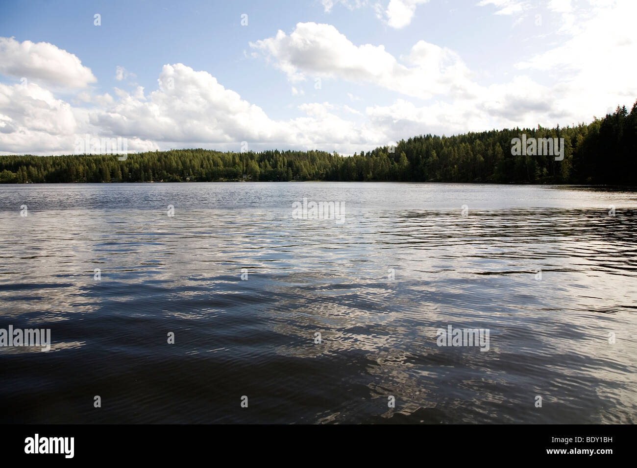 The pine tree fringed Lake Rautavasi, close to the town of Vammala in the Tampere Region of Finland. Stock Photo