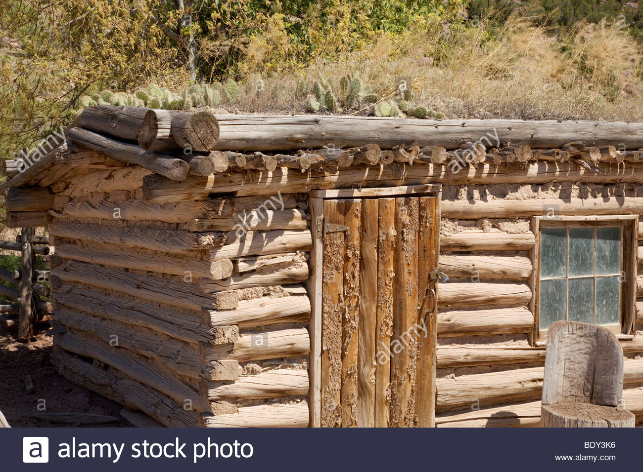 Old Chicken Coop With Dirt Roof And Cactus John Jarvie