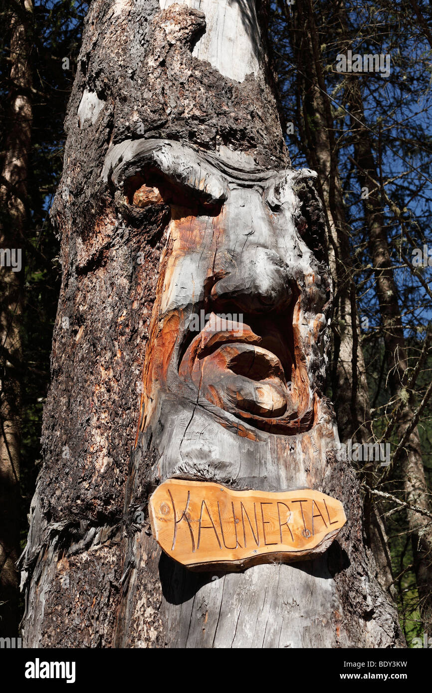 Carved face in a tree trunk, The giant of Kaunertal, Oetztal Alps, Tyrol, Austria, Europe Stock Photo