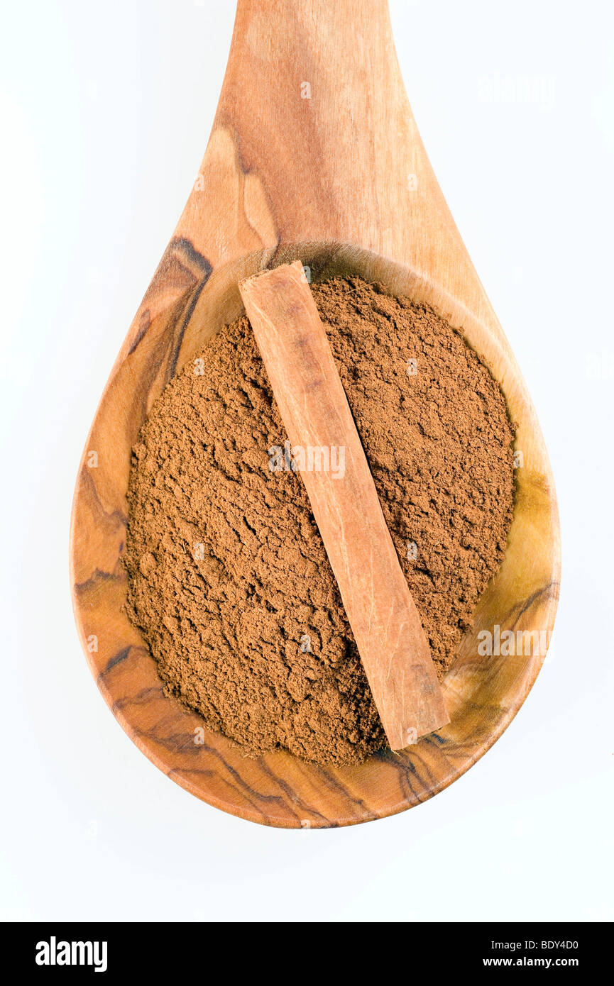 Cinnamon (Cinnamomum verum), powdered, and part of a cinnamon stick on a spoon of olive wood Stock Photo
