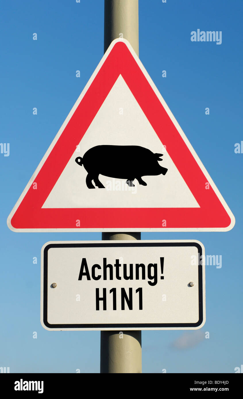 Traffic sign, pig flu, H1N1 virus Stock Photo
