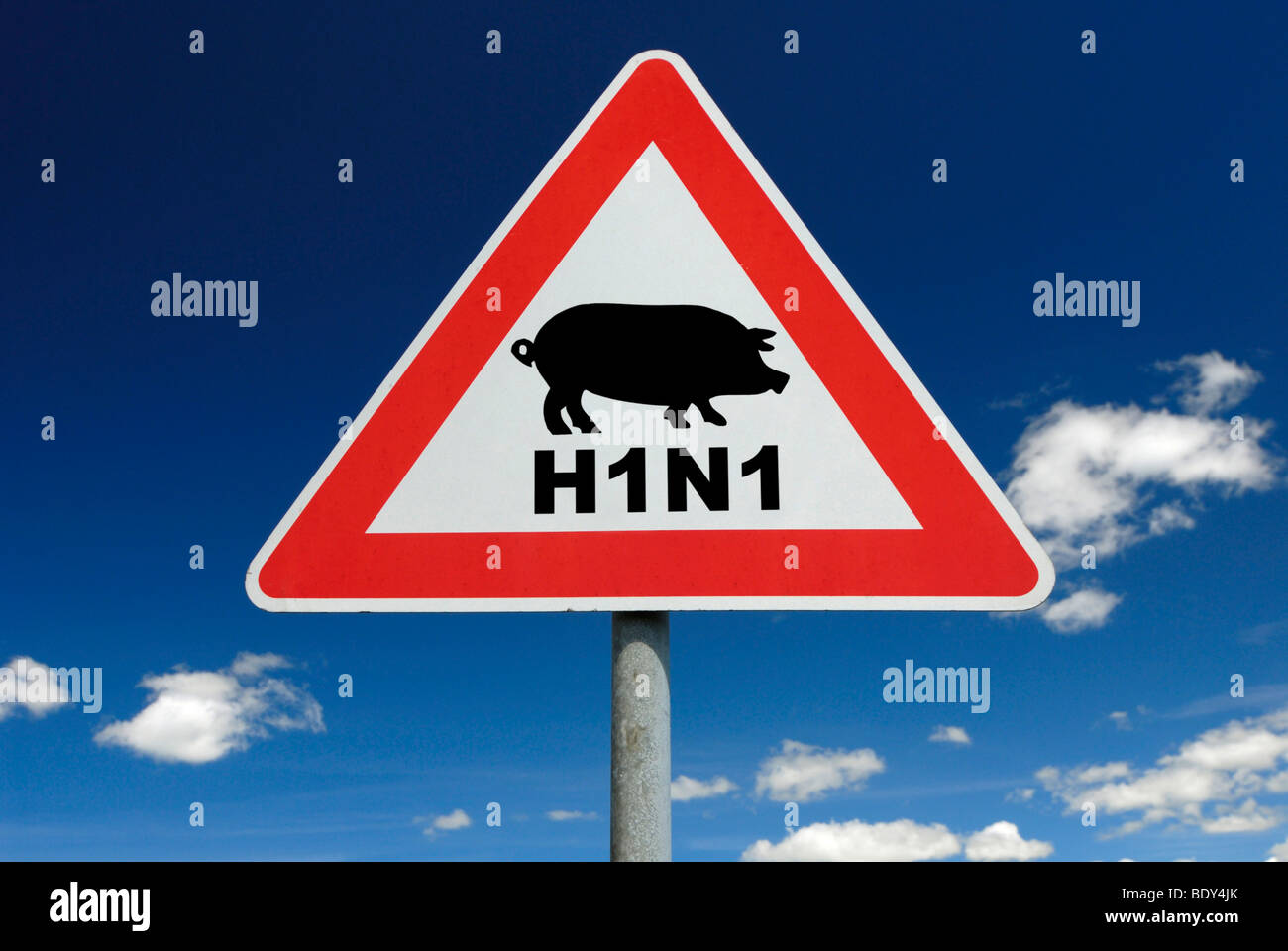 Traffic sign, pig flu, H1N1 virus Stock Photo