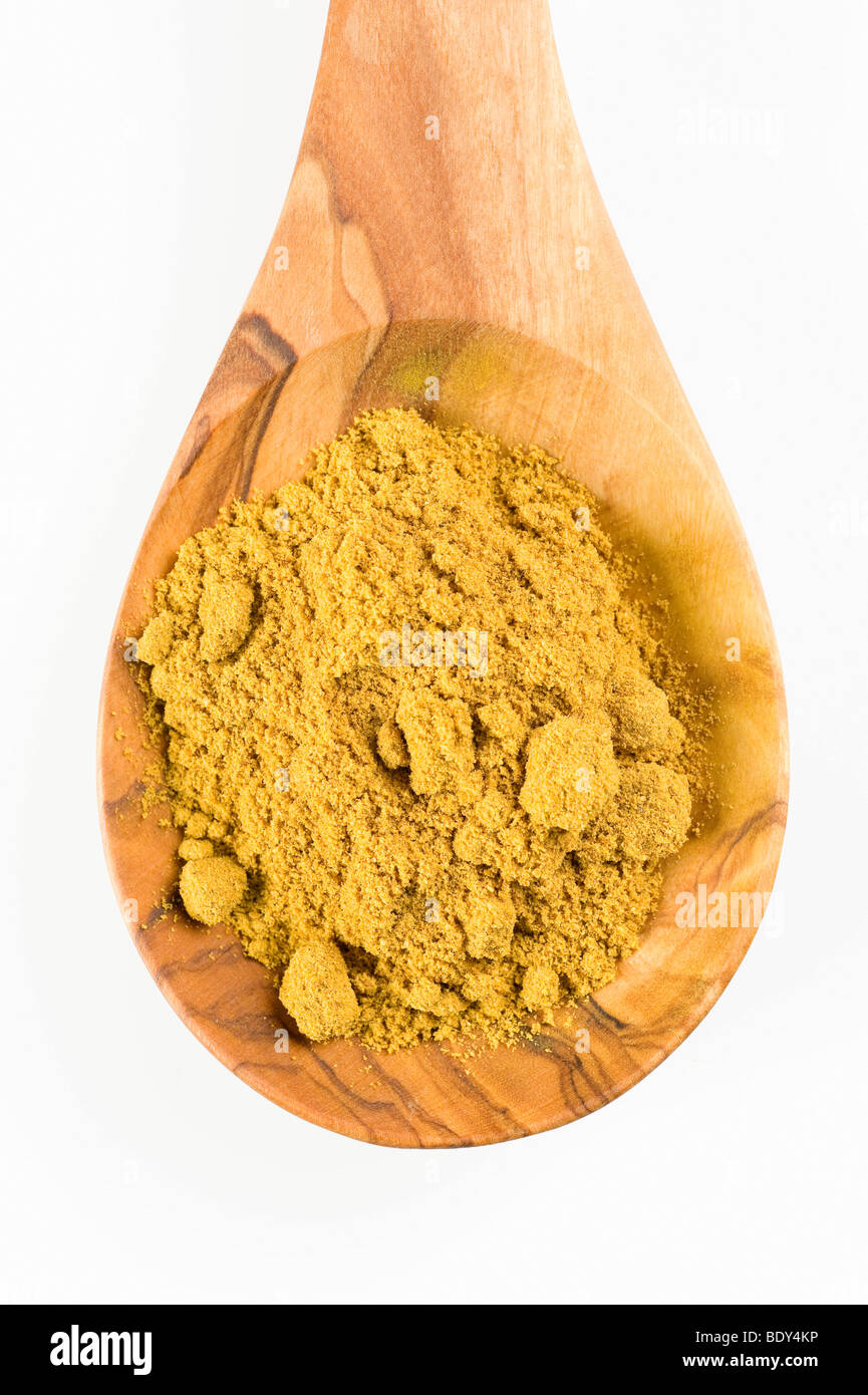 Madras curry spice blend on a spoon of olive wood Stock Photo