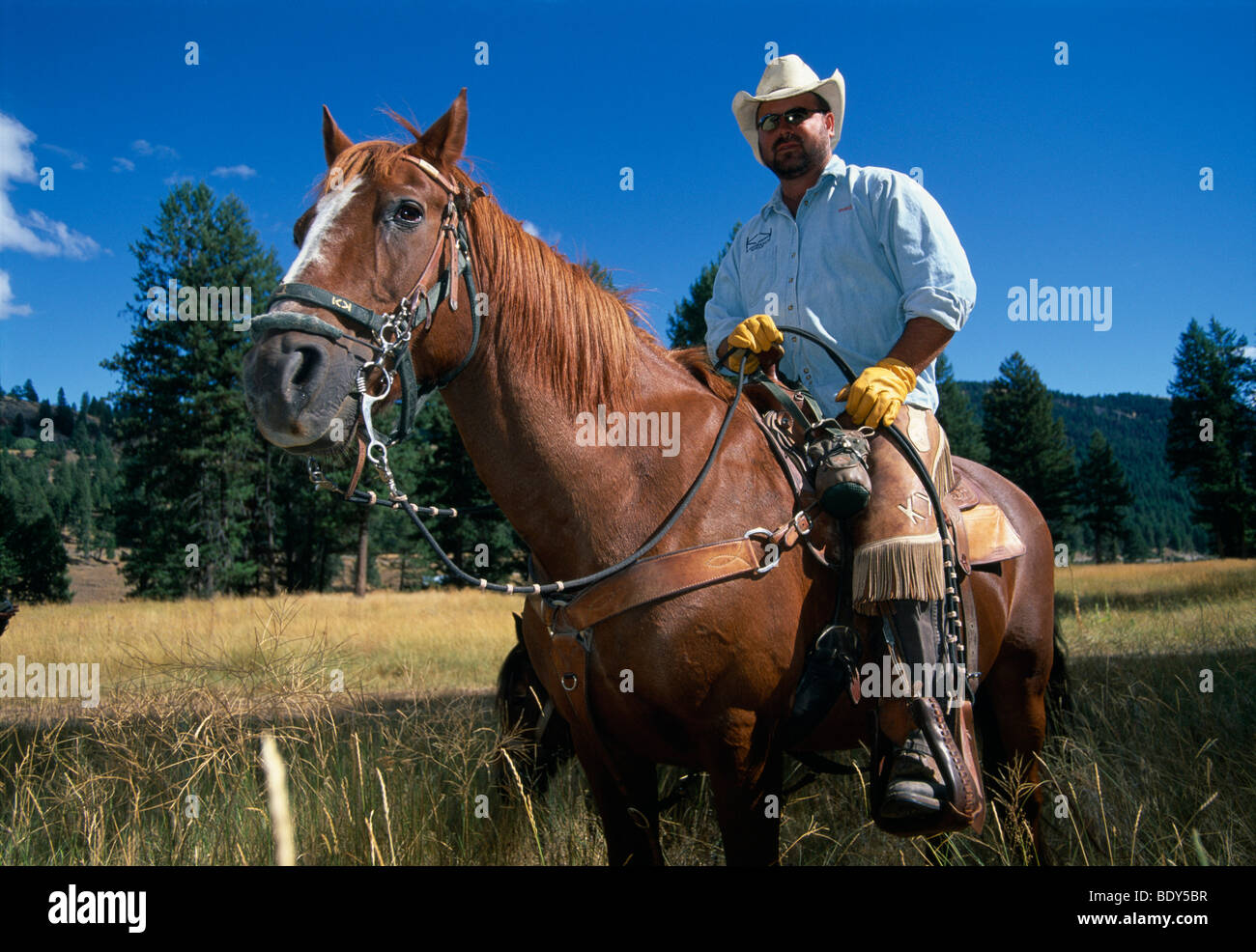 Cowboy in today's USA, Republic, Washington, USA Stock Photo