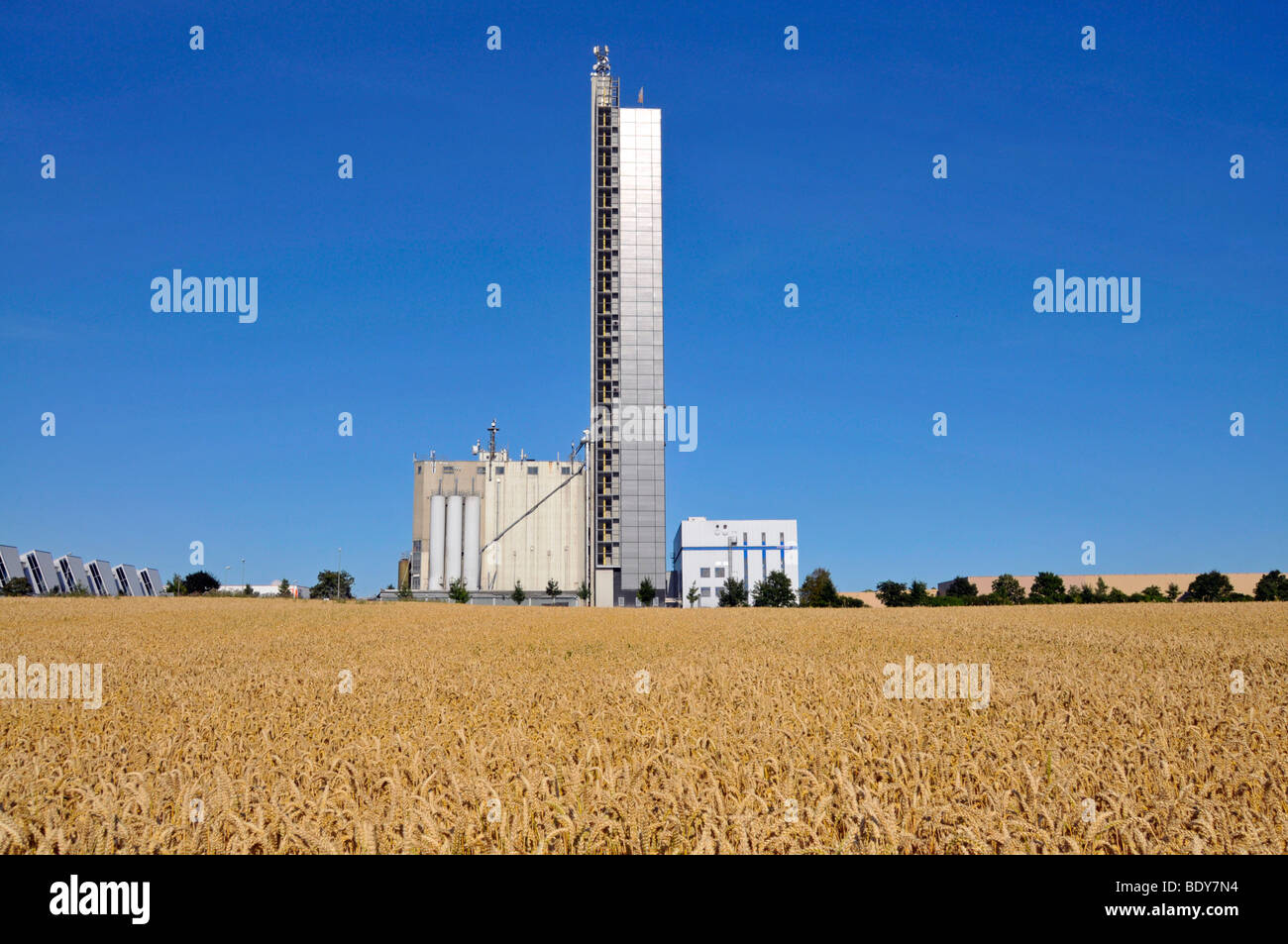 Schapfenmuehle mill tower, the highest grain silo in the world, covered with a photovoltaic system, Jungingen, Ulm, Baden-Wuert Stock Photo