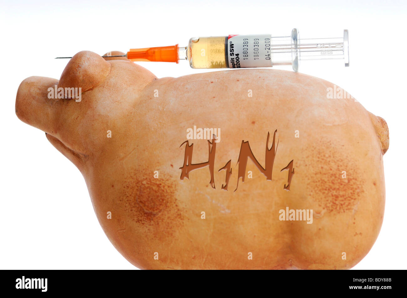 Miniature swine and syringe, vaccination against swine flu Stock Photo