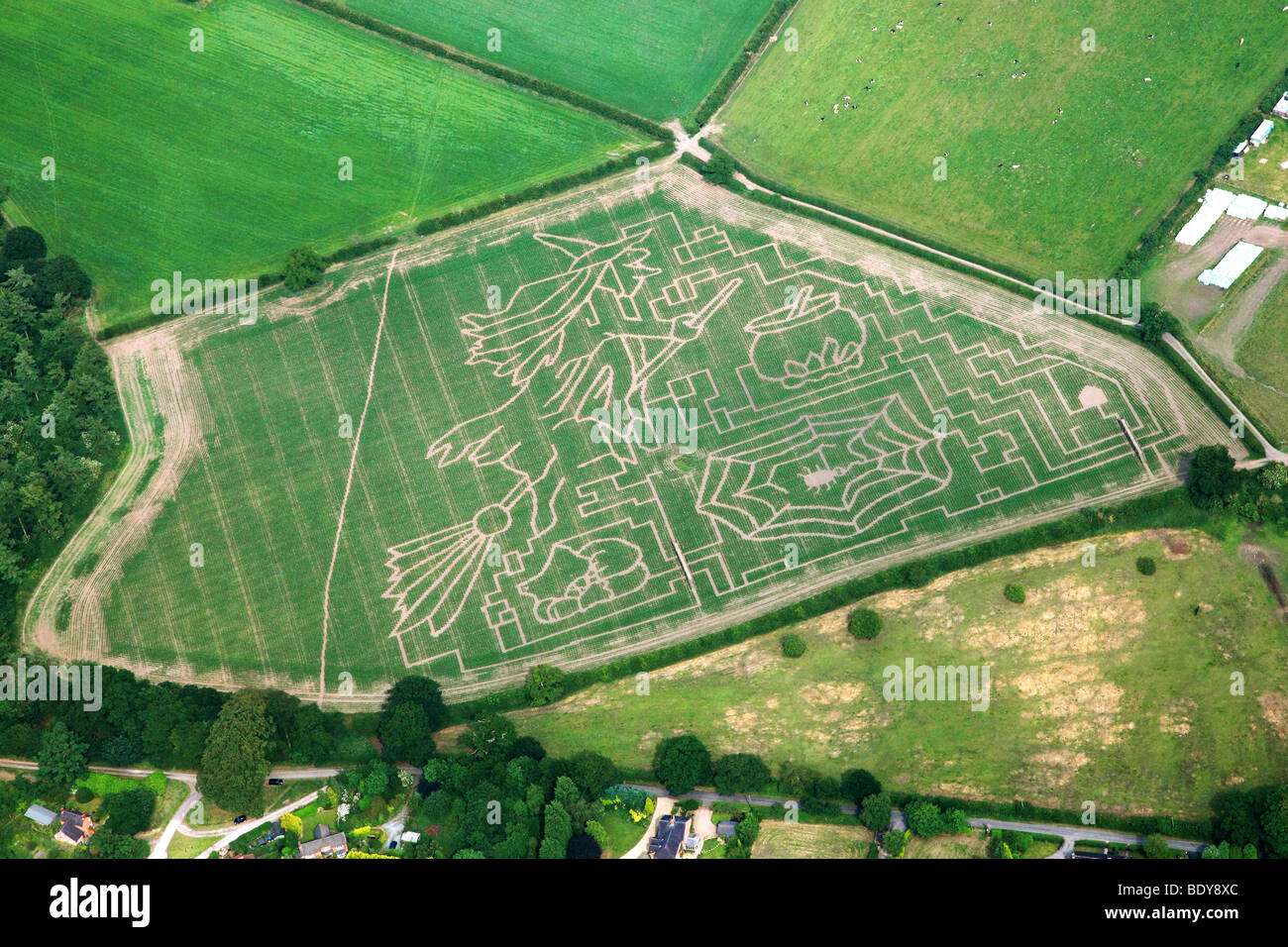 Aerial photograph of Halloween themed maize field Stock Photo