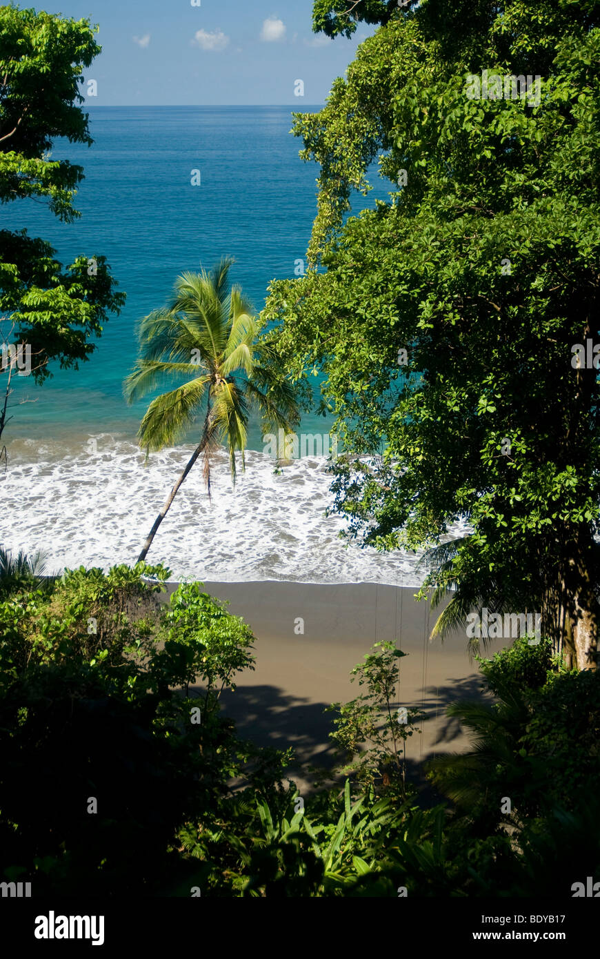Tropical coast near Drake Bay, Osa Peninsula, Costa Rica Stock Photo ...